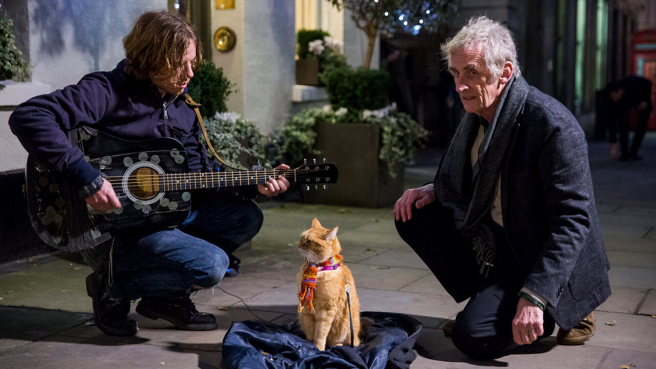 A Street Cat Named Bob +Q&A